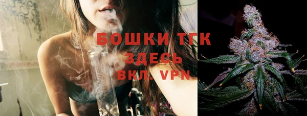 винт Богданович