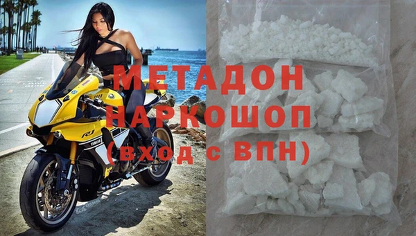 шишки Беломорск