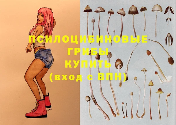 винт Богданович