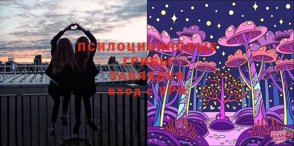 винт Богданович