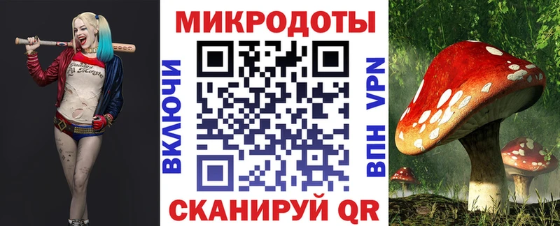 Галлюциногенные грибы мицелий  Володарск 